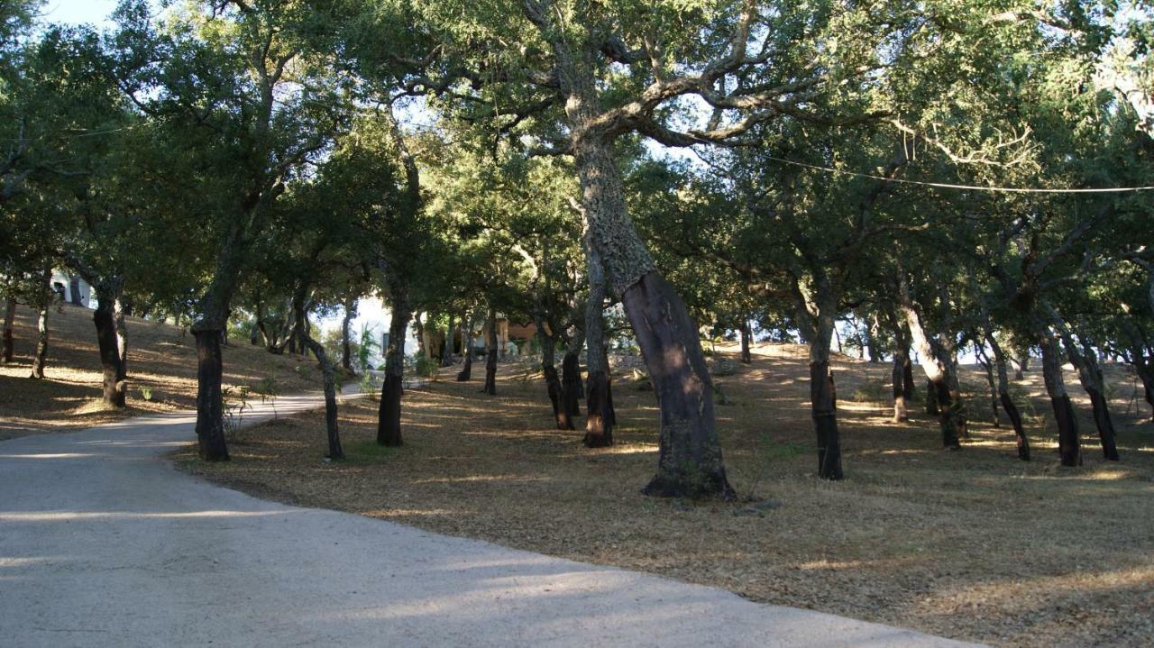 Le Sughere Padru Buitenkant foto