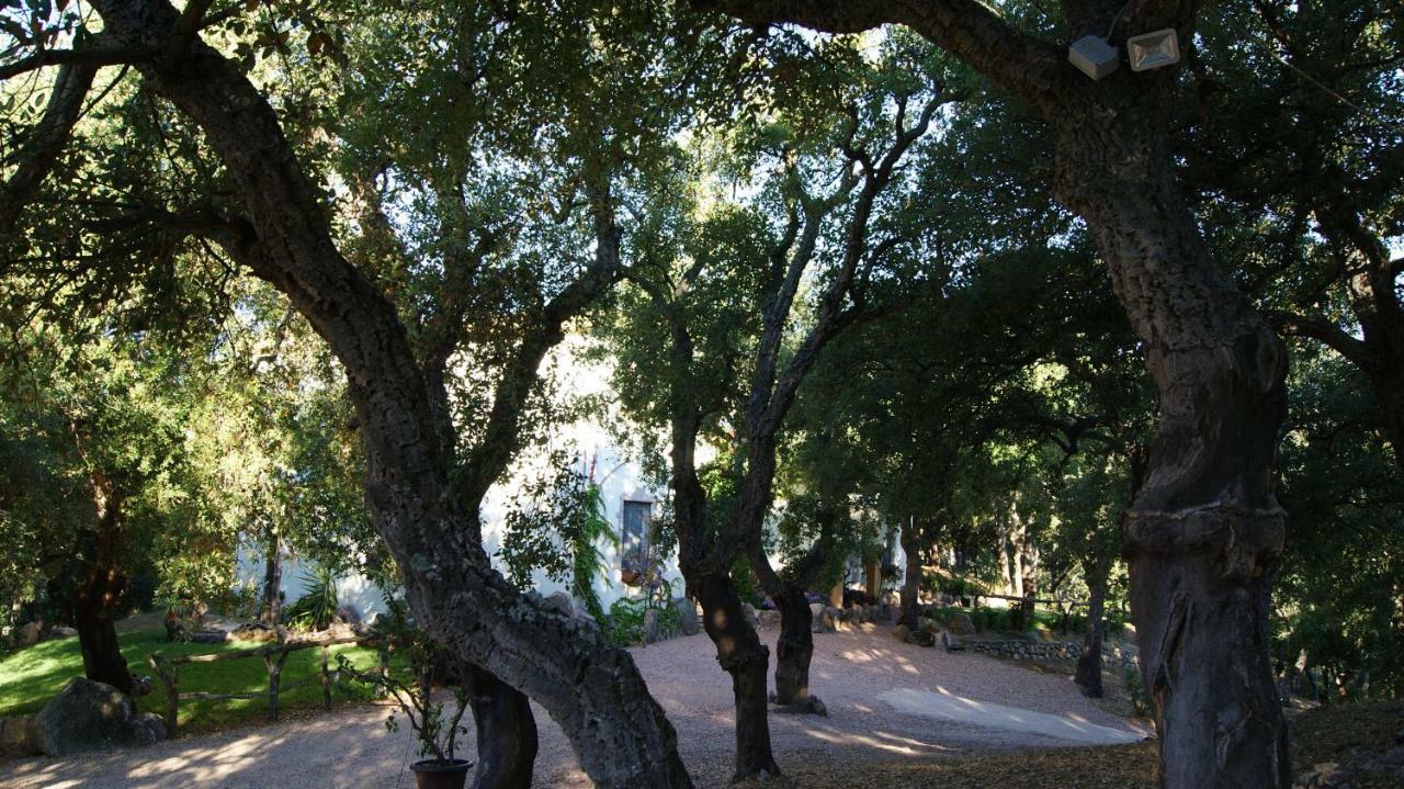Le Sughere Padru Buitenkant foto