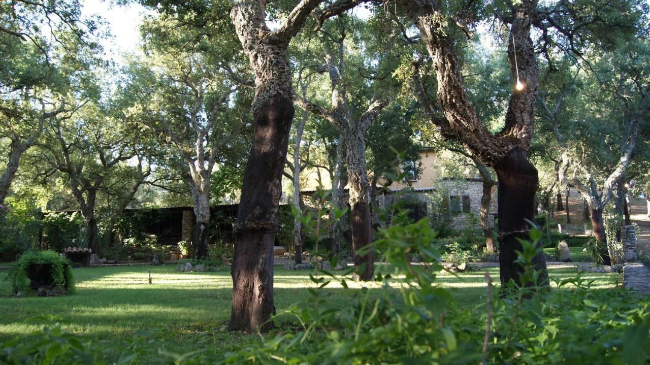 Le Sughere Padru Buitenkant foto